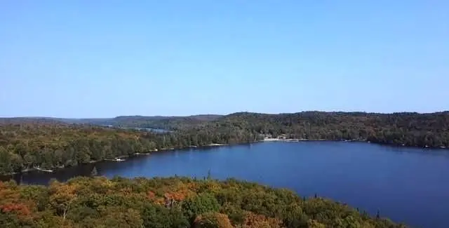 1448-1 WEST OXBOW LAKE RD, Lake Of Bays, ON P1H 2J6