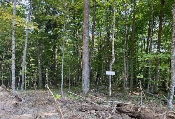 1448-1 WEST OXBOW LAKE RD, Lake Of Bays, ON P1H 2J6