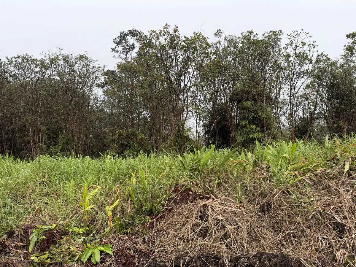 ROAD 4, Mountain View, HI 96771