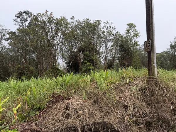 ROAD 4, Mountain View, HI 96771