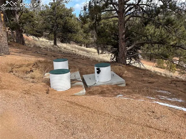 351 Dandy Jim DR, Cripple Creek, CO 80813