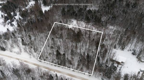 0 LAKEVIEW DR E, Ryerson, ON P0A 1C0