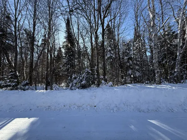 0 LAKEVIEW DR E, Ryerson, ON P0A 1C0