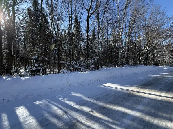 0 LAKEVIEW DR E, Ryerson, ON P0A 1C0