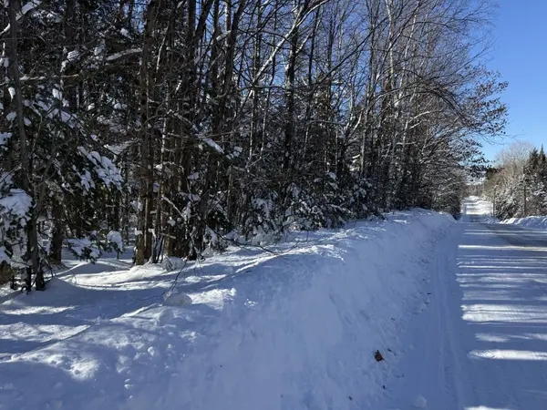 0 LAKEVIEW DR E, Ryerson, ON P0A 1C0