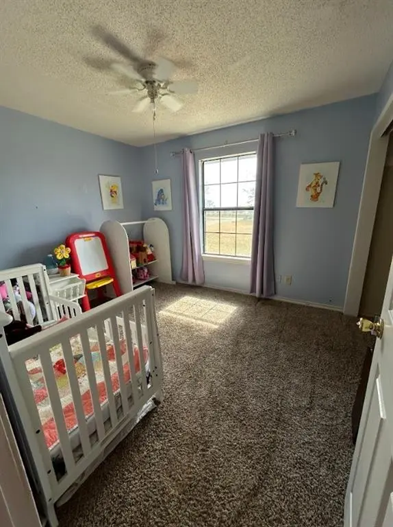 8096 Fm 858, Ben Wheeler, TX 75754