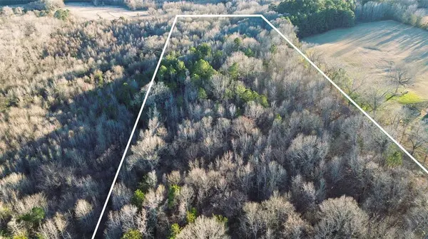 1628 CR 3375, Cookville, TX 75558