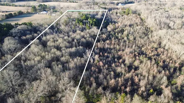 1628 CR 3375, Cookville, TX 75558