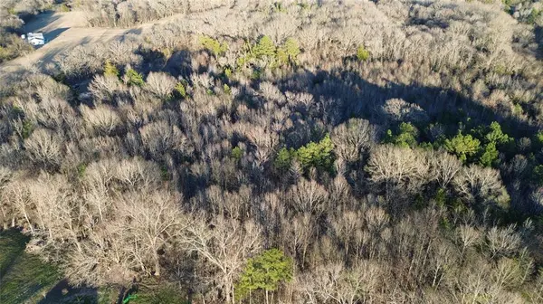 1628 CR 3375, Cookville, TX 75558