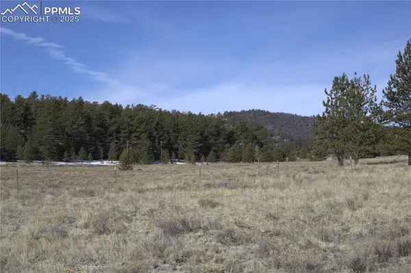 2450 Antelope LN, Guffey, CO 80820