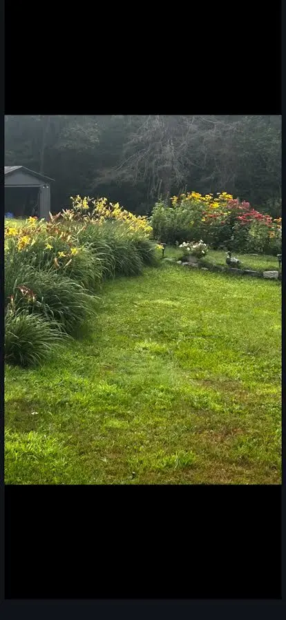 2551 Yearley RD, Huntsville, ON P0B 1M0