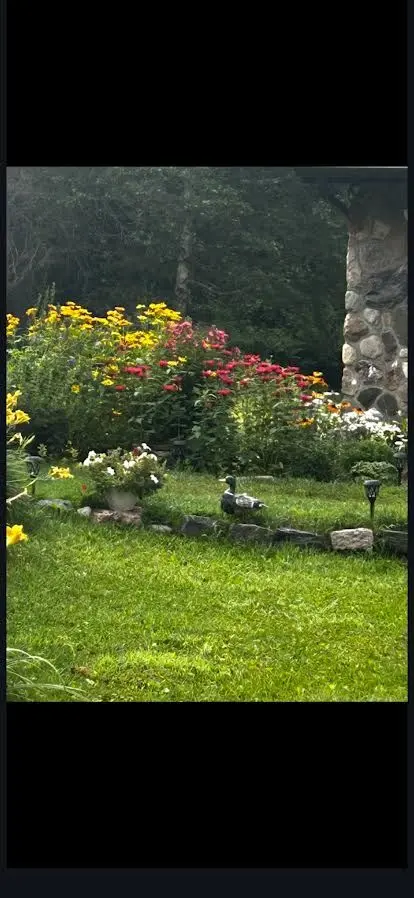 2551 Yearley RD, Huntsville, ON P0B 1M0