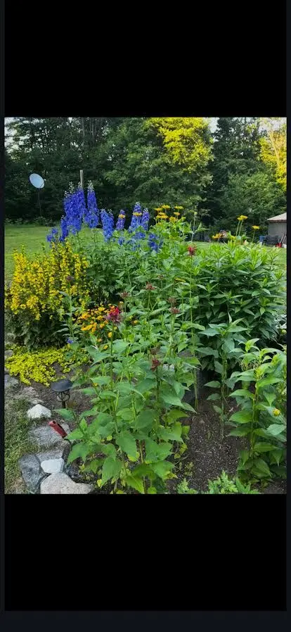 2551 Yearley RD, Huntsville, ON P0B 1M0