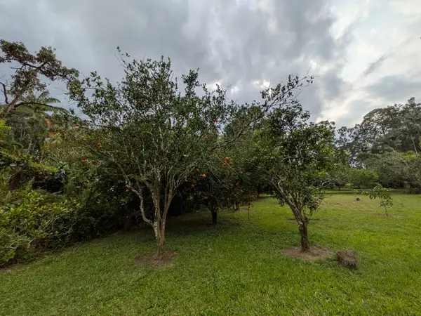 41ST AVE, Kurtistown, HI 96760