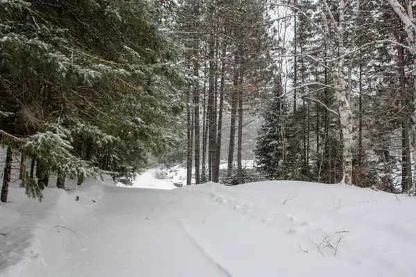 22 Robert DR, Faraday, ON K0L 1C0