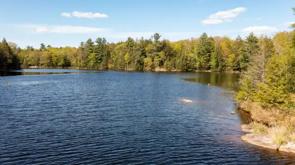 LT 14 HUNGRY BAY RD, Georgian Bay, ON L0K 1S0