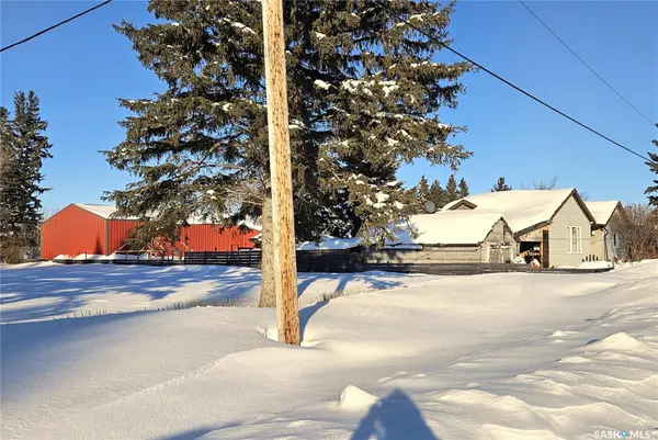 500 3rd AVENUE E, Buchanan, SK S0A 0J0