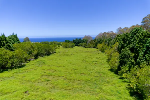 28-595 KAUPAKUEA HOMESTEAD RD, Pepeekeo, HI 96783