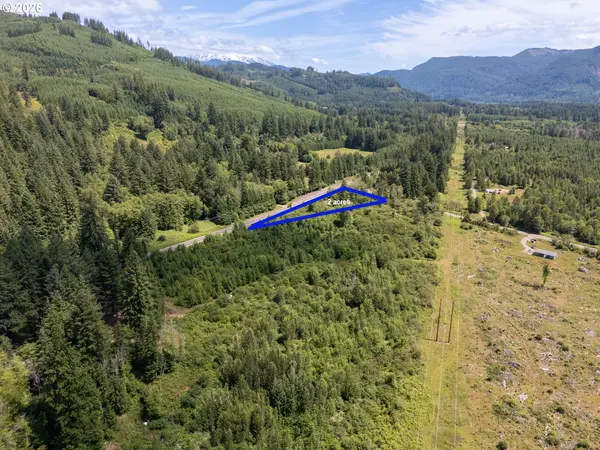 0 Lewis River RD, Ariel, WA 98603