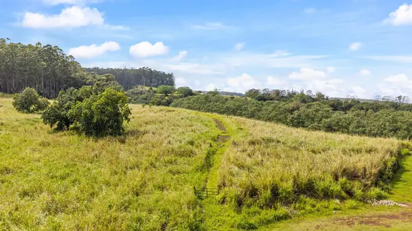 34-1219 HAWAII BELT RD, Papaaloa, HI 96780