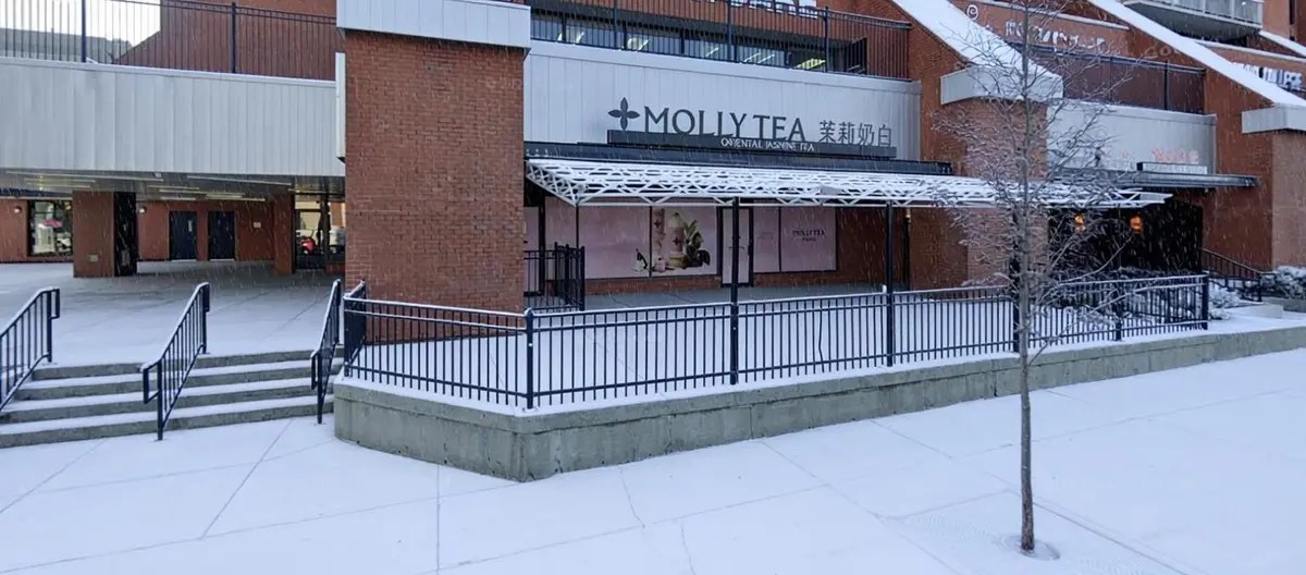 10173 109 ST, Edmonton, AB T5J 3M5