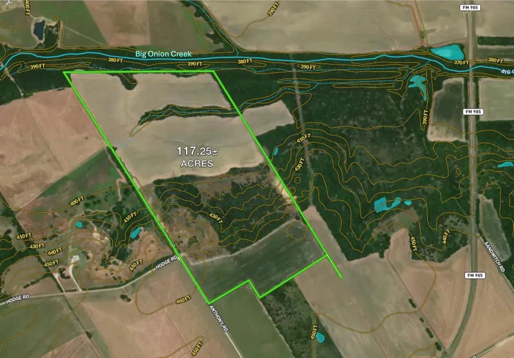 TBD 117 acres S Anthony Road, Ennis, TX 75119
