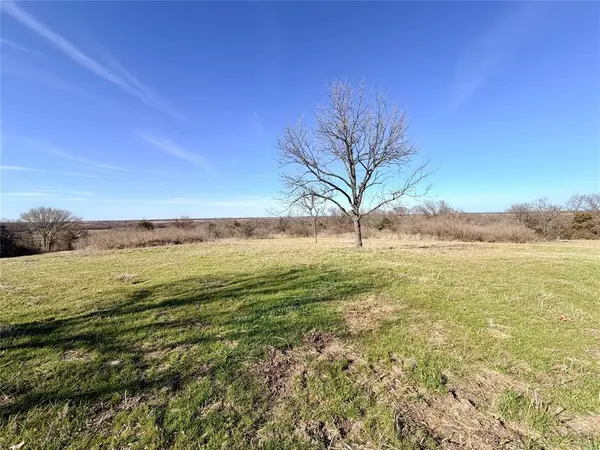 TBD 117 acres S Anthony Road, Ennis, TX 75119