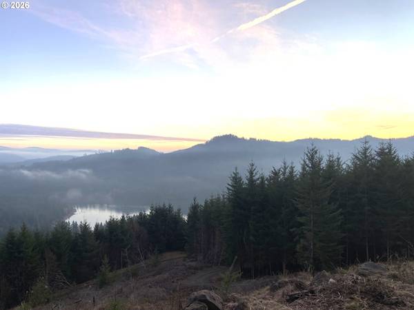 1844 KNIGHTS BRIDGE RD, Ariel, WA 98603