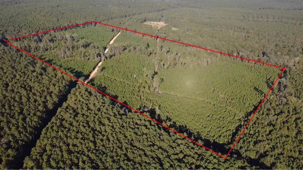 None Pacton-Alexandria Road, Winnfield, LA 71483