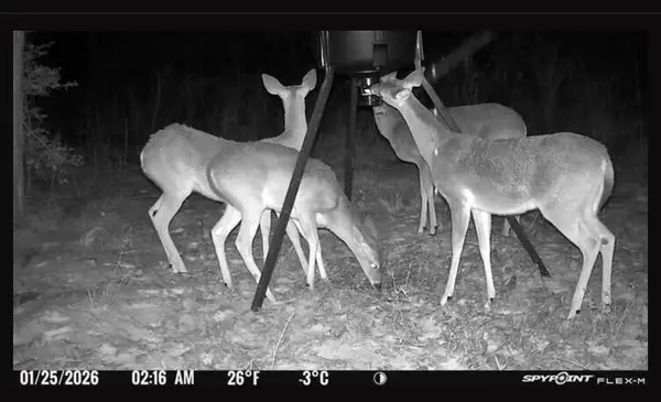 17741 County Road 431, Lindale, TX 75771