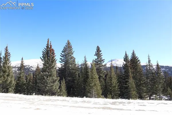 1480 Roberts RD, Fairplay, CO 80440