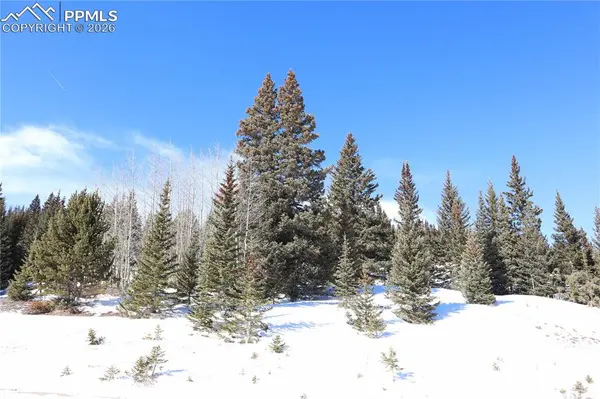 1480 Roberts RD, Fairplay, CO 80440