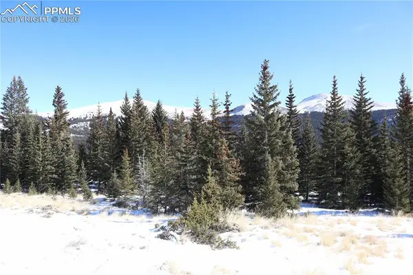 1480 Roberts RD, Fairplay, CO 80440