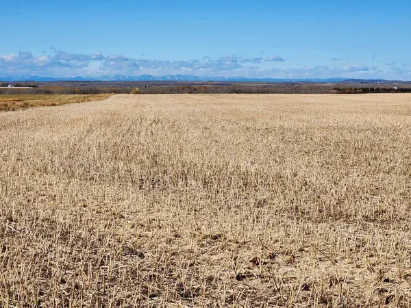 6002 57 AVE, Olds, AB T4H 1T8