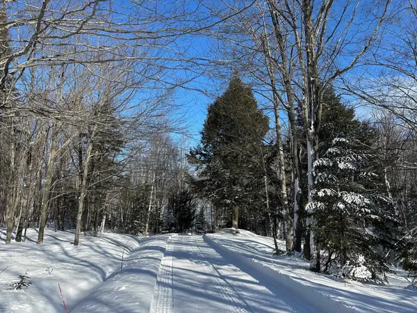 N10006 Shore Drive RD, Onota Twp, MI 49806