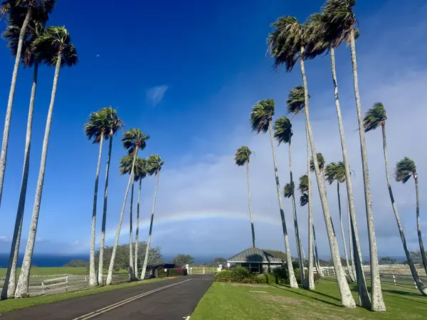 56-2891 HALEAKALA VIEW PL, Hawi, HI 96719