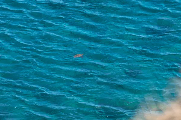 56-2891 HALEAKALA VIEW PL, Hawi, HI 96719