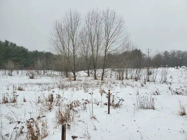 2788 Greenwood RD, Mills Twp, MI 48756