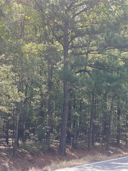 0 Ferry Lake Tract C, Oil City, LA 71061