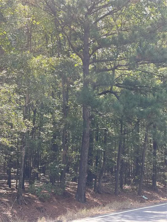 0 Ferry Lake Tract C, Oil City, LA 71061