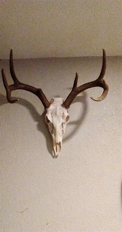 TBD Shawnee, Avery, TX 75554