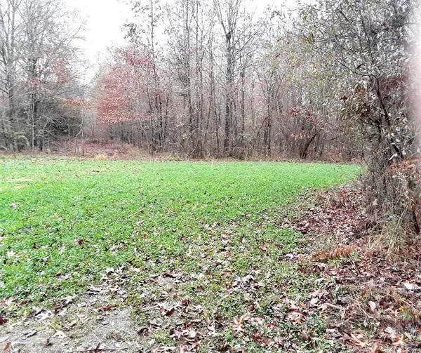 TBD Shawnee, Avery, TX 75554