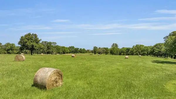 365 County Road 1534, Alba, TX 75410