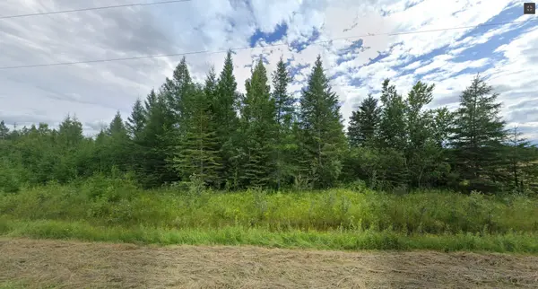 Parcel 20024 SEC Rainy River Pt Sec 2 Blue Being Pt 1 48R4734 RD W, Dawson, ON P0W 1M0