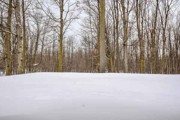 36 Nicklaus DR, Barrie, ON L4M 6W5