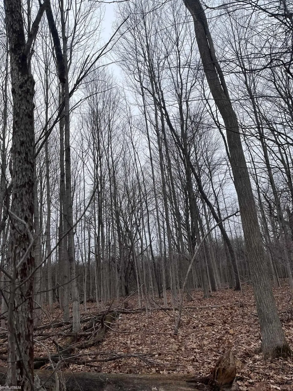 0 Fox Ridge 1-A LN, Berlin Twp, MI 48002