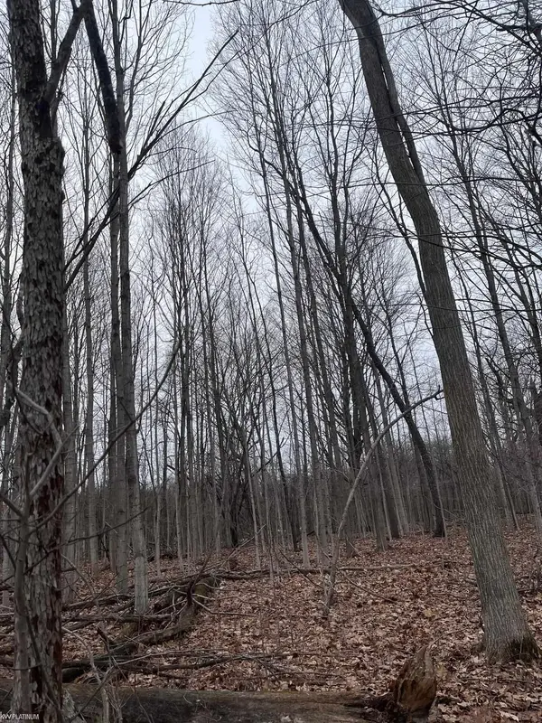 0 Fox Ridge 1-A LN, Berlin Twp, MI 48002