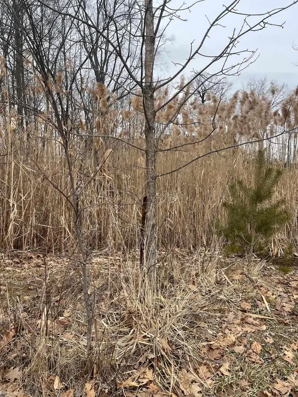 0 Fox Ridge 1-A LN, Berlin Twp, MI 48002