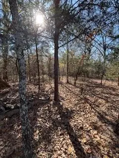 Lot 15,16 Loper Drive, Streetman, TX 75859