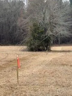 0 Bellevue Road #Lot 1, Haughton, LA 71037